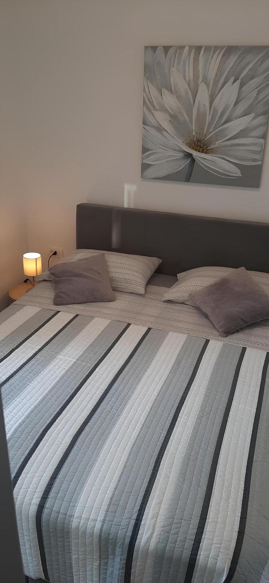 Apartment Puntamika Villa De Rosa - Ground Floor Zadar Ngoại thất bức ảnh