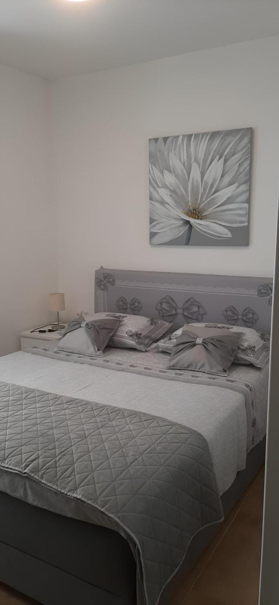 Apartment Puntamika Villa De Rosa - Ground Floor Zadar Ngoại thất bức ảnh